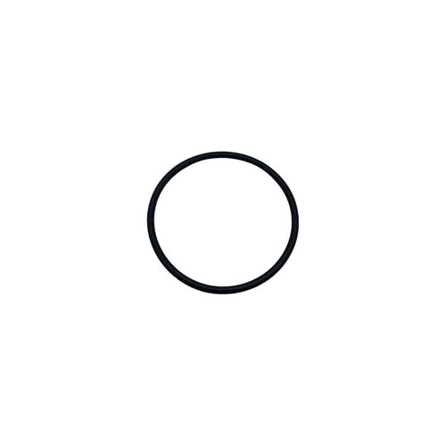 107563 - O-Ring - PURspray