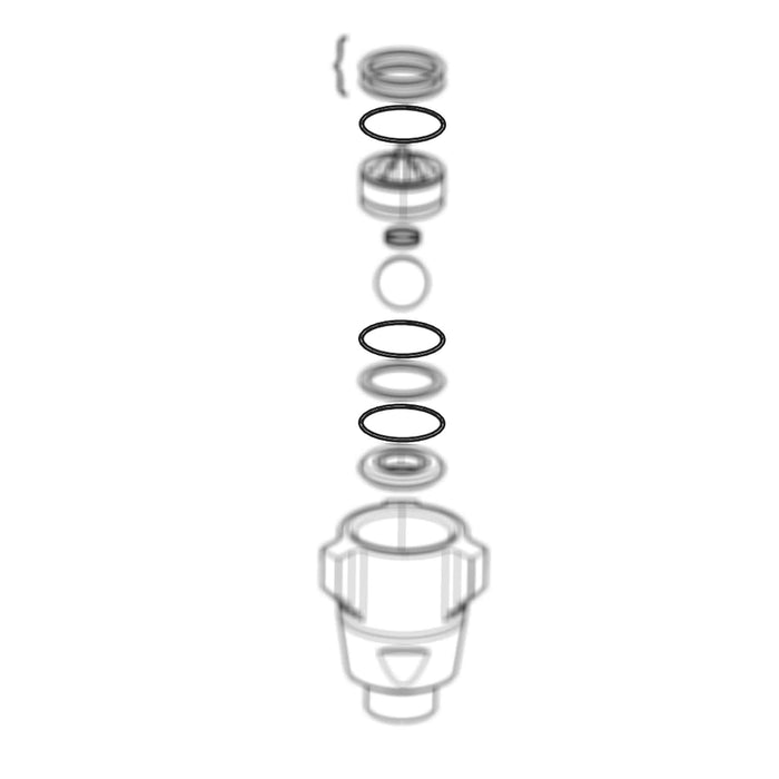 244890 - O-Ring - PURspray