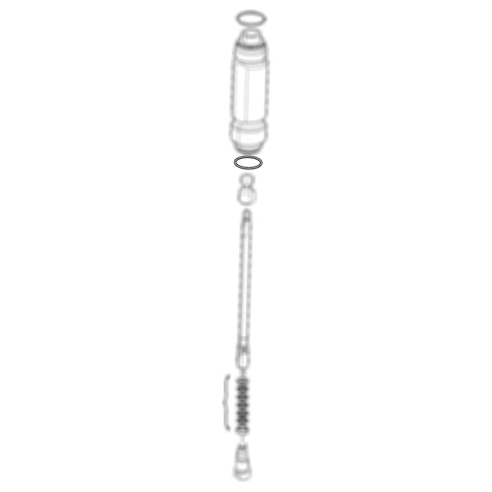 244894 - O-Ring - PURspray
