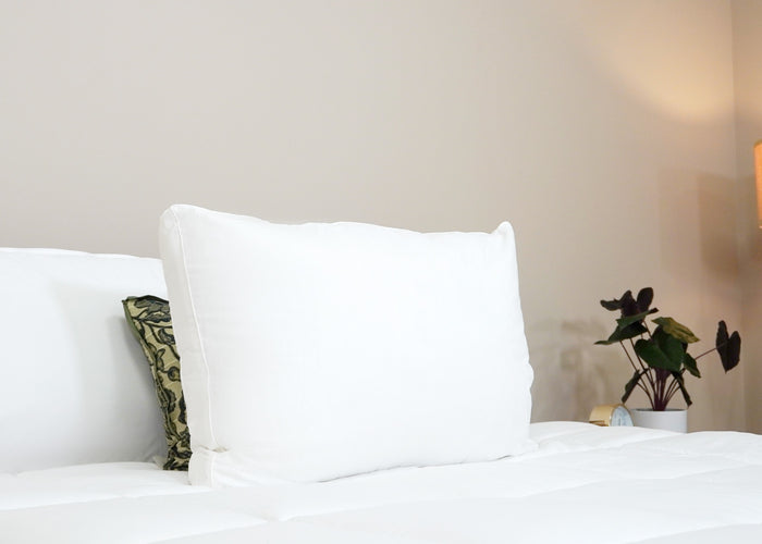 A neatly made bed features the HD Supply Best Western® Dreammaker Gusseted Pillow (medium-firm support) with a decorative pillow behind it. The bedding is white, and a plant in a white pot and a beige-shaded lamp sit on the nightstand.