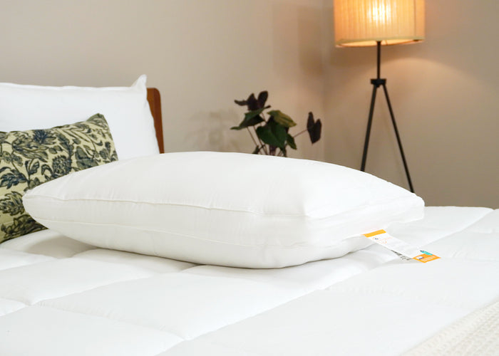 The Best Western® Dreammaker Gusseted Pillow by HD Supply with medium-firm support, featuring a tag, sits on a neatly made bed with a white comforter. Behind it is a green-and-white pillow; a leafy plant and lit floor lamp decorate the softly lit background.