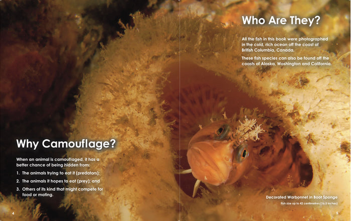 Book - Find the Fish (first edition)