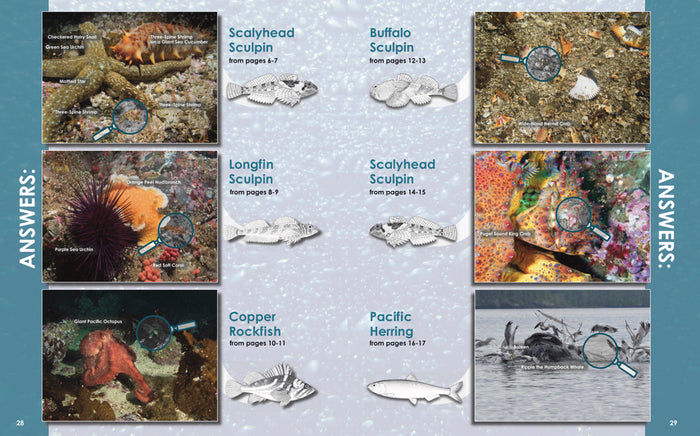 Book - Find the Fish (first edition)