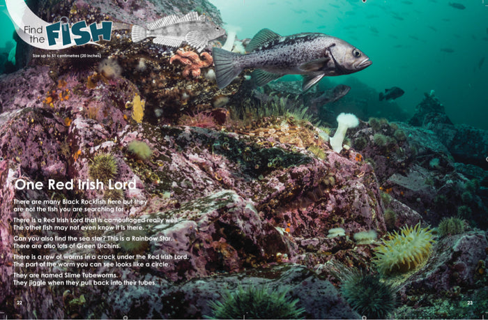 Book - Find the Fish (second edition)