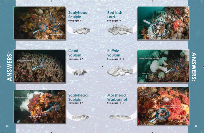 Book - Find the Fish (second edition)