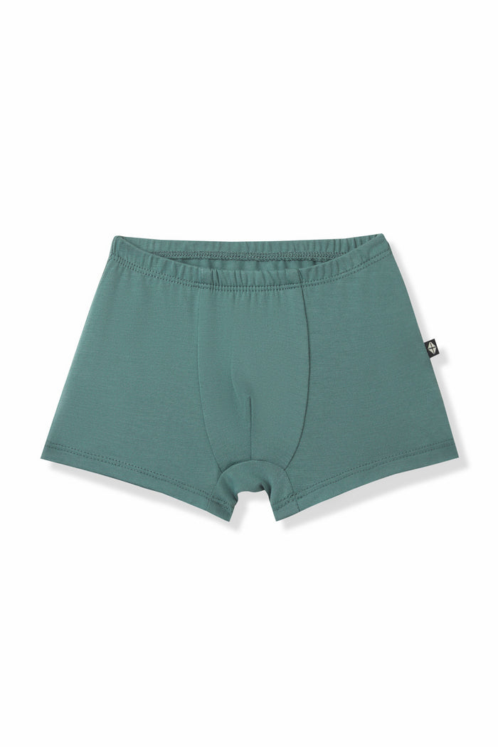 Briefs in Pine on a white background