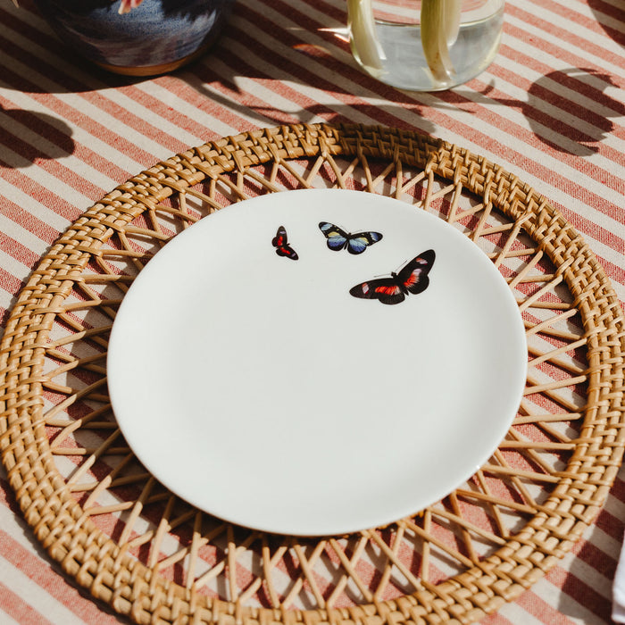 Butterflies 8" Fine China Plate by Chase and Wonder, hand-decorated with original illustration and 22ct gold edging