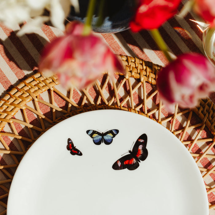 Butterflies 8" Fine China Plate fine china plate by Chase and Wonder