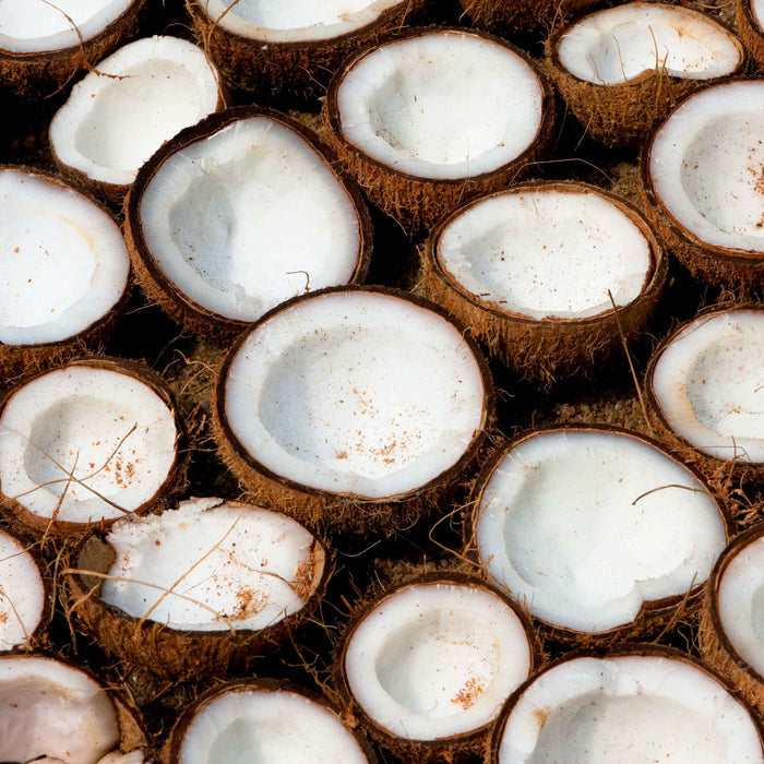 Coconut Oil (Extra-Virgin)