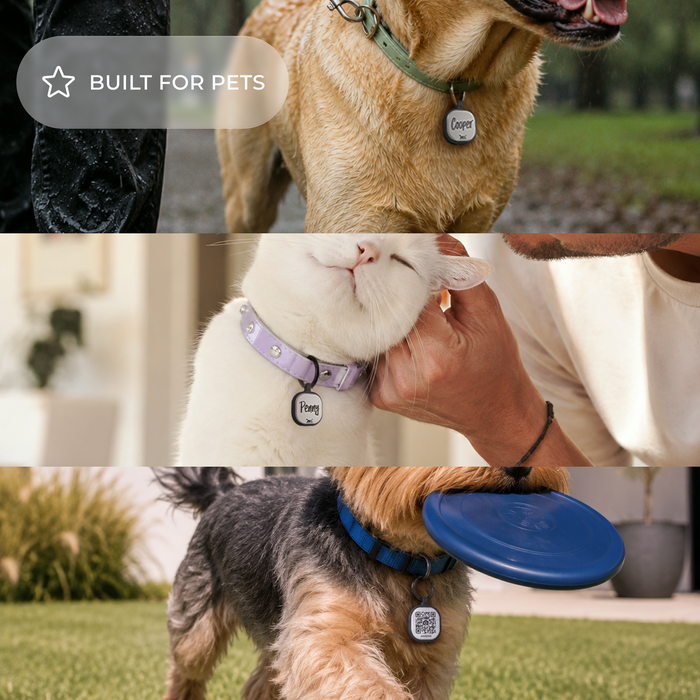 Collar ID