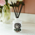 Eden Ceramic Reed Diffuser by Chase and Wonder, fine china with 22ct gold