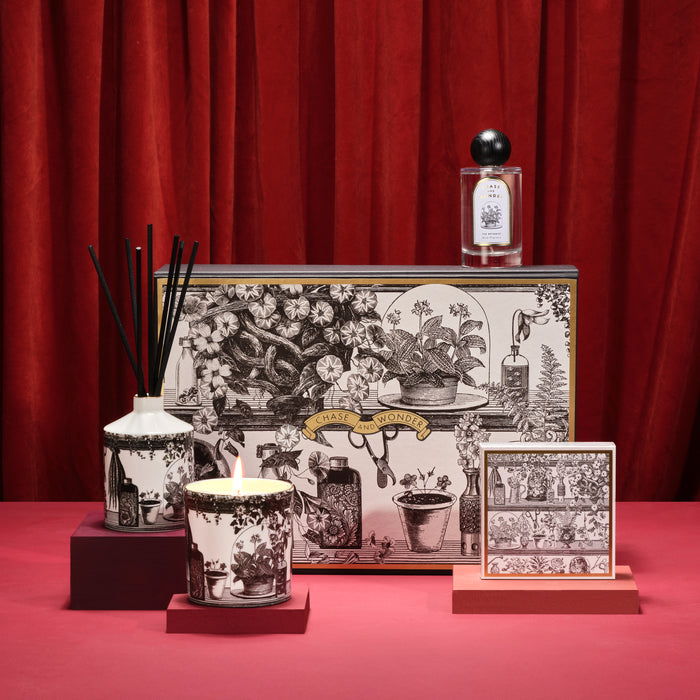 For Gardeners - The Botanist's Gift Set by Chase and Wonder, luxury gift box with candle, matches and room spray