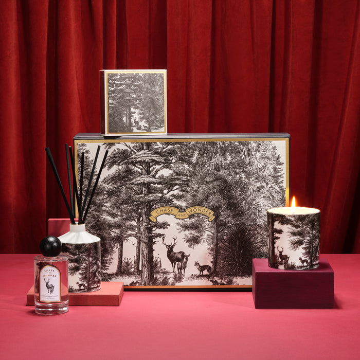 For the Explorers: The Enchanted Forest Gift Set by Chase and Wonder, luxury gift box with candle, matches and room spray