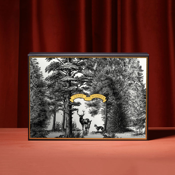For the Explorers: The Enchanted Forest Gift Set gift set, contents displayed alongside the luxury gift box