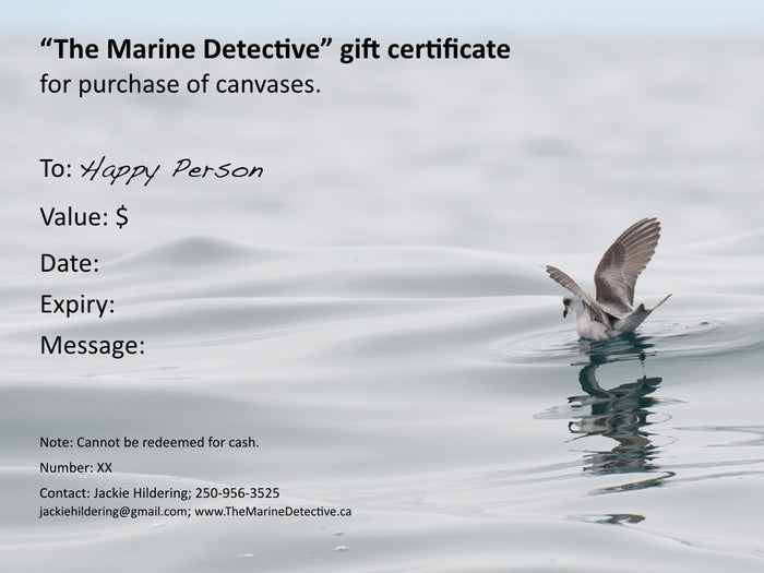 General Gift Certificate