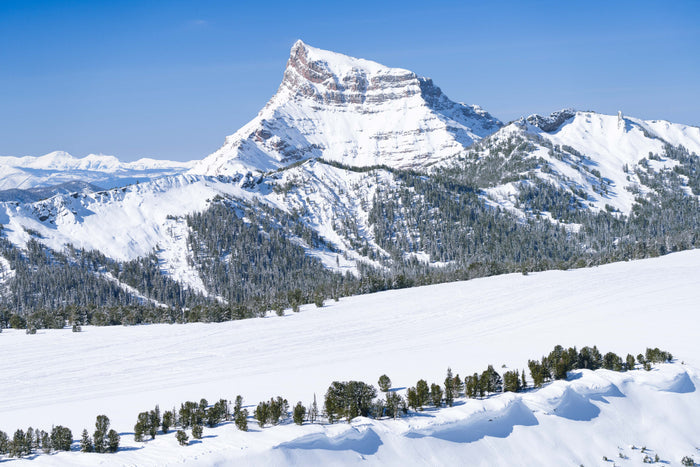 Gray Malin- Shinx Mountain, Montana