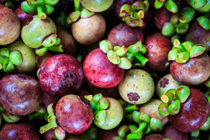 Mangosteen Powder