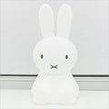 Mr Maria Miffy S Nightlight