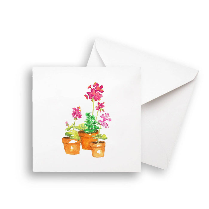 Pink Geranium: Dishtowel / -