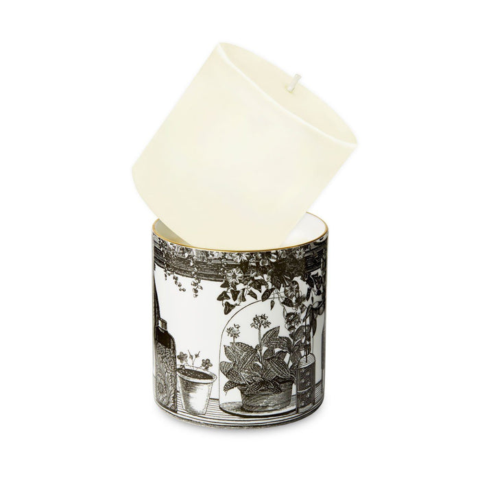 Refill for The Botanist Ceramic Candle by Chase and Wonder, fine china with 22ct gold