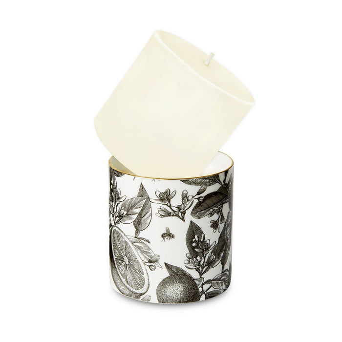 Refill for The Orangery Ceramic Candle by Chase and Wonder, fine china with 22ct gold