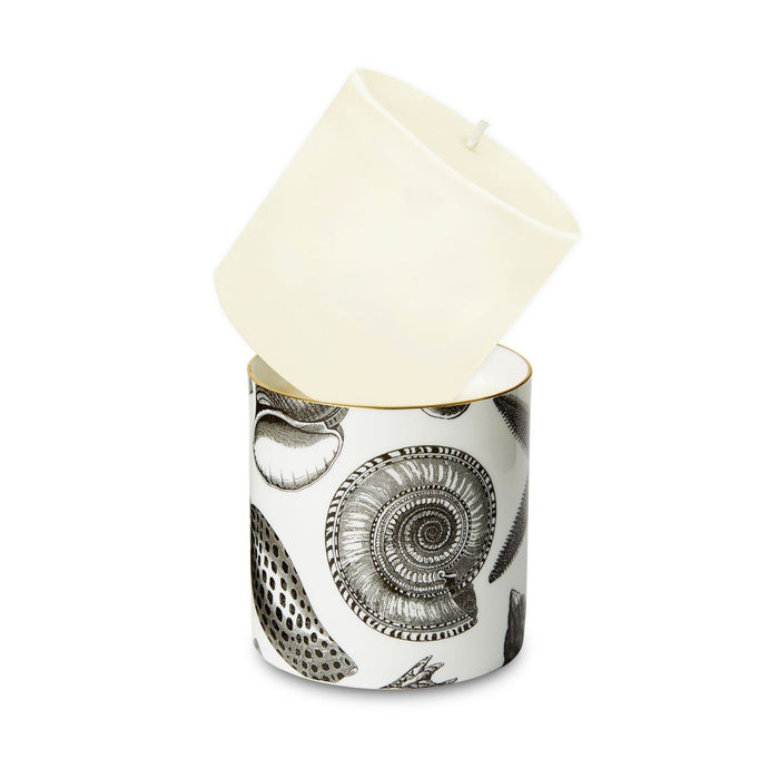 Refill for The Seashore Ceramic Candle by Chase and Wonder, fine china with 22ct gold