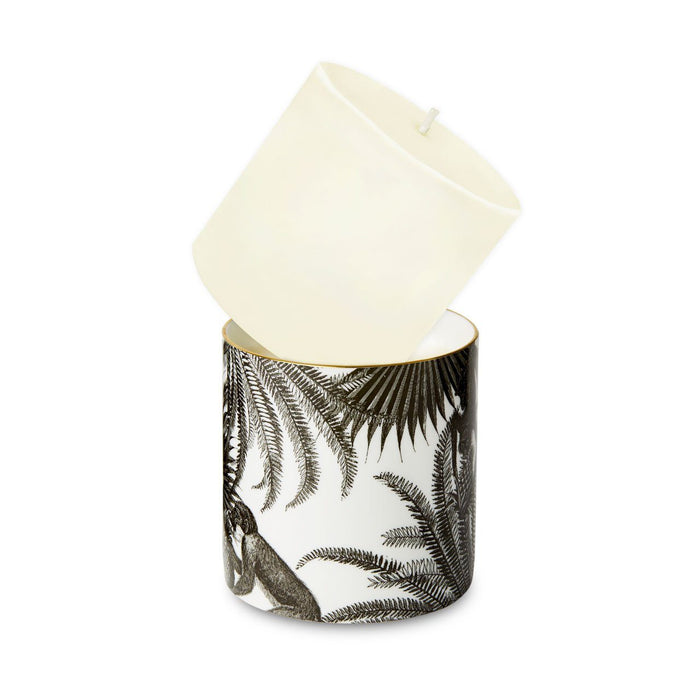 Refill for The Tropical Paradise Ceramic Candle by Chase and Wonder, fine china with 22ct gold