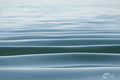 The Ocean
