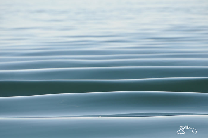 The Ocean
