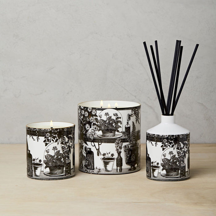 The Orangery 3 Wick Scented Ceramic Candle - Chase and Wonder - Proudly Made in Britain