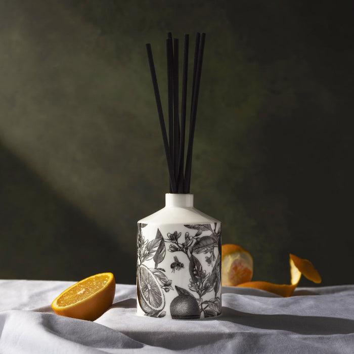 The Orangery Ceramic Reed Diffuser by Chase and Wonder, fine china with 22ct gold