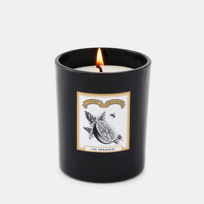 The Orangery scented glass candle lit, warm glow through black glass