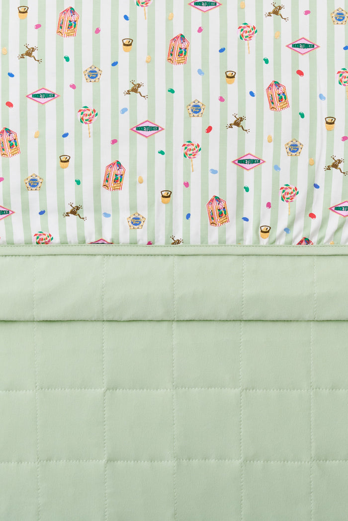 Green and white striped toddler blanket with colorful Harry Potter pattern print on it and plain green fabric at the back