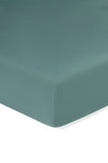 Twin Sheet in Pine on a white background